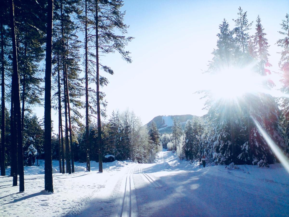 Vasa Ski Lodge ムーラ エクステリア 写真